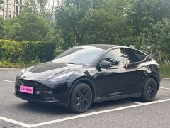Tesla Model Y Rear-Wheel Drive - ფოტო 1