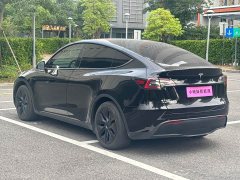 Tesla Model Y Rear-Wheel Drive - ფოტო 18