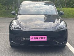 Tesla Model Y Rear-Wheel Drive - ფოტო 2