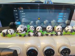 Wuling Binguo 333km Joy Edition - ფოტო 20