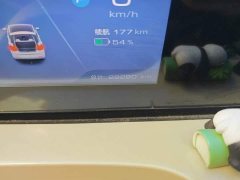 Wuling Binguo 333km Joy Edition - ფოტო 8