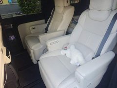 Li Auto MEGA Home Family Edition - ფოტო 13