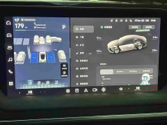 XPeng P7 2023 P7i 702 Pro - ფოტო 20