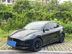 Tesla Model Y Long Range All-Wheel Drive - ფოტო 1