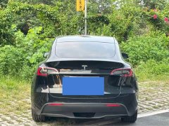 Tesla Model Y Long Range All-Wheel Drive - ფოტო 4