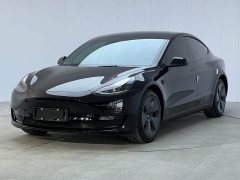 Tesla Model 3 Rear-Wheel Drive - ფოტო 1