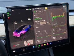 Tesla Model 3 Rear-Wheel Drive - ფოტო 10