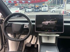 Tesla Model Y L 2025 Long Range All-Wheel Drive - ფოტო 12