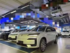 Denza BYD Denza N9 Flagship - ფოტო 1
