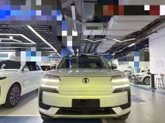 Denza BYD Denza N9 Flagship - ფოტო 3