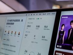 Li Auto Li Xiang MEGA Ultra - ფოტო 3
