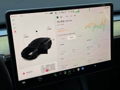 Tesla Model Y Standard Range RWD - ფოტო 10