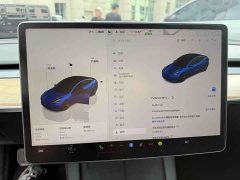 Tesla Model 3 2022 Rear-Wheel Drive - ფოტო 10