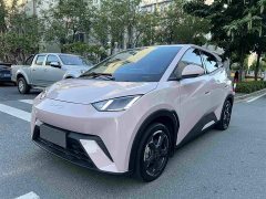BYD Seagull 2024 Glory Edition 305km Freedom Version - ფოტო 1