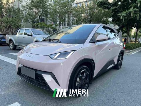 2023 BYD Seagull Glory Edition 305km Freedom Version