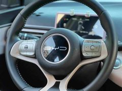 BYD Seagull 2024 Glory Edition 305km Freedom Version - ფოტო 13
