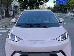 BYD Seagull 2024 Glory Edition 305km Freedom Version - ფოტო 14