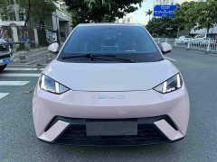 BYD Seagull 2024 Glory Edition 305km Freedom Version - ფოტო 15