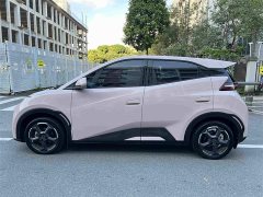 BYD Seagull 2024 Glory Edition 305km Freedom Version - ფოტო 2