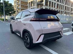 BYD Seagull 2024 Glory Edition 305km Freedom Version - ფოტო 3
