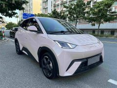 BYD Seagull 2024 Glory Edition 305km Freedom Version - ფოტო 6