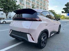 BYD Seagull 2024 Glory Edition 305km Freedom Version - ფოტო 8
