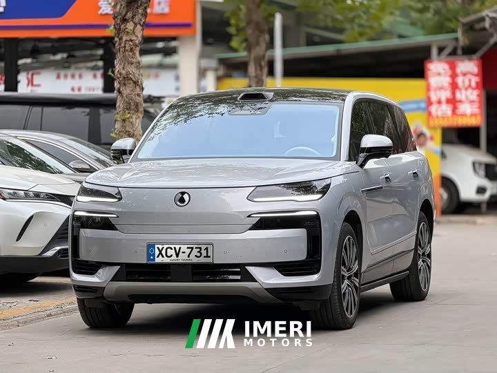 Denza BYD Denza N9 Premium Edition - ავტომობილი ჩინეთიდან