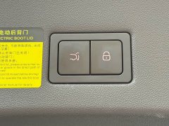 Denza BYD Denza N9 Premium Edition - ფოტო 20
