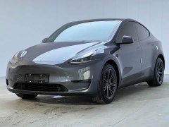 Tesla Model Y Rear-Wheel Drive - ფოტო 1