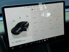 Tesla Model Y Rear-Wheel Drive - ფოტო 10