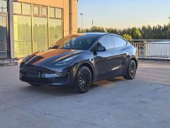 Tesla Model Y Rear-Wheel Drive - ფოტო 1