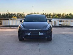 Tesla Model Y Rear-Wheel Drive - ფოტო 2