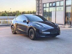 Tesla Model Y Rear-Wheel Drive - ფოტო 3