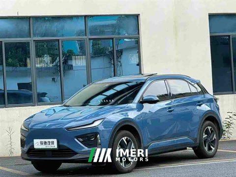 2024 Neta X 500 Exclusive Edition - ავტომობილი ჩინეთიდან