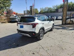 Kia Situs 1.5L CVT Luxury - ფოტო 8