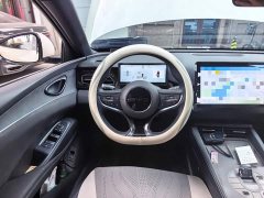 BYD Seal 06 DM-i Smart Drive 120KM Premium Edition - ფოტო 6