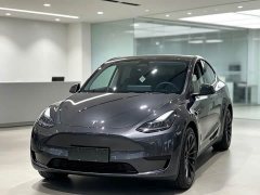 Tesla Model Y Rear-Wheel Drive - ფოტო 1