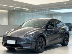 Tesla Model Y Rear-Wheel Drive - ფოტო 2