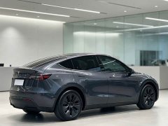 Tesla Model Y Rear-Wheel Drive - ფოტო 5