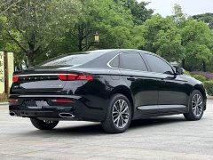 Geely Xingrui 1.5TD Kunlun Edition - ფოტო 9