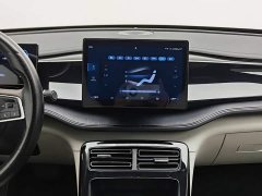 BYD Qin PLUS Glory Edition DM-i 55KM Leading - ფოტო 12