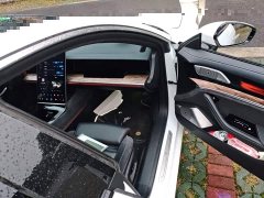 Neta S 2022 Pure Electric 715km Rear-Wheel Drive Premium - ფოტო 19