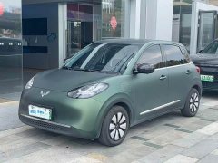 Wuling Binguo 2023 333km Quick Enjoy Edition - ფოტო 1