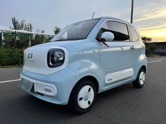 FAW Besturn Xiaoma 2026 222km Shining Edition - ფოტო 1
