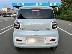 FAW Besturn Xiaoma 2026 222km Shining Edition - ფოტო 13