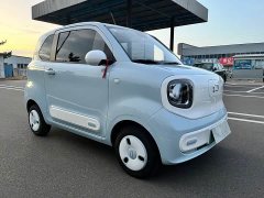 FAW Besturn Xiaoma 2026 222km Shining Edition - ფოტო 3