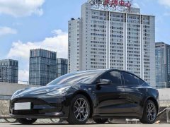 Tesla Model 3 Rear-Wheel Drive - ფოტო 1