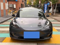 Tesla Model 3 Standard Range RWD Upgrade - ფოტო 1