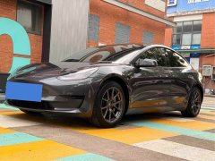 Tesla Model 3 Standard Range RWD Upgrade - ფოტო 3