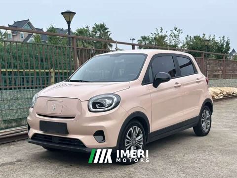 2022 Leapmotor Leapo T03 400 Luxury Edition